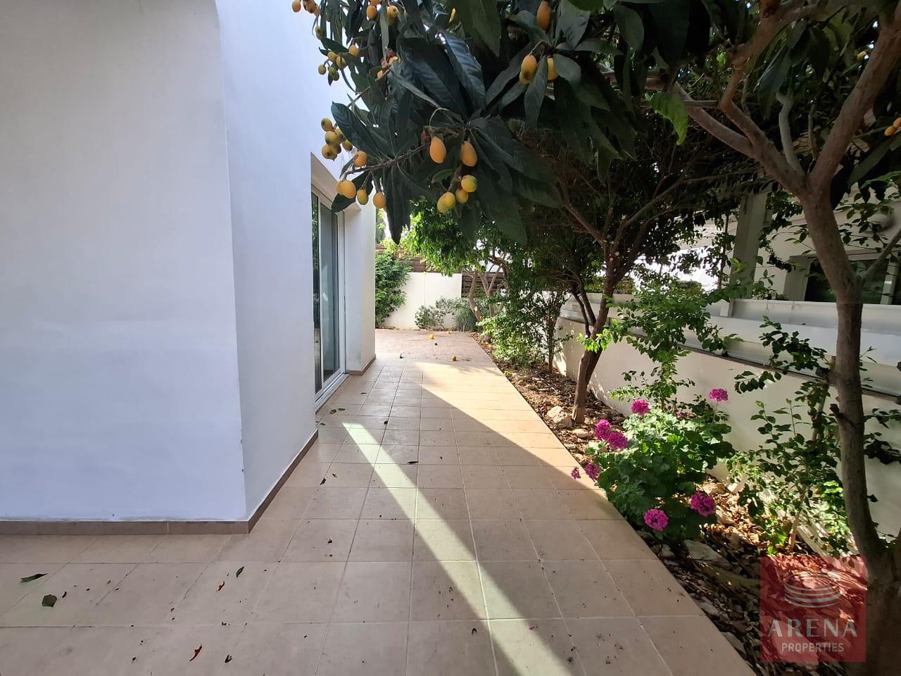 1-3-BED-VILLA-FOR-RENT-IN-AYIA-TRIADA-9516-6