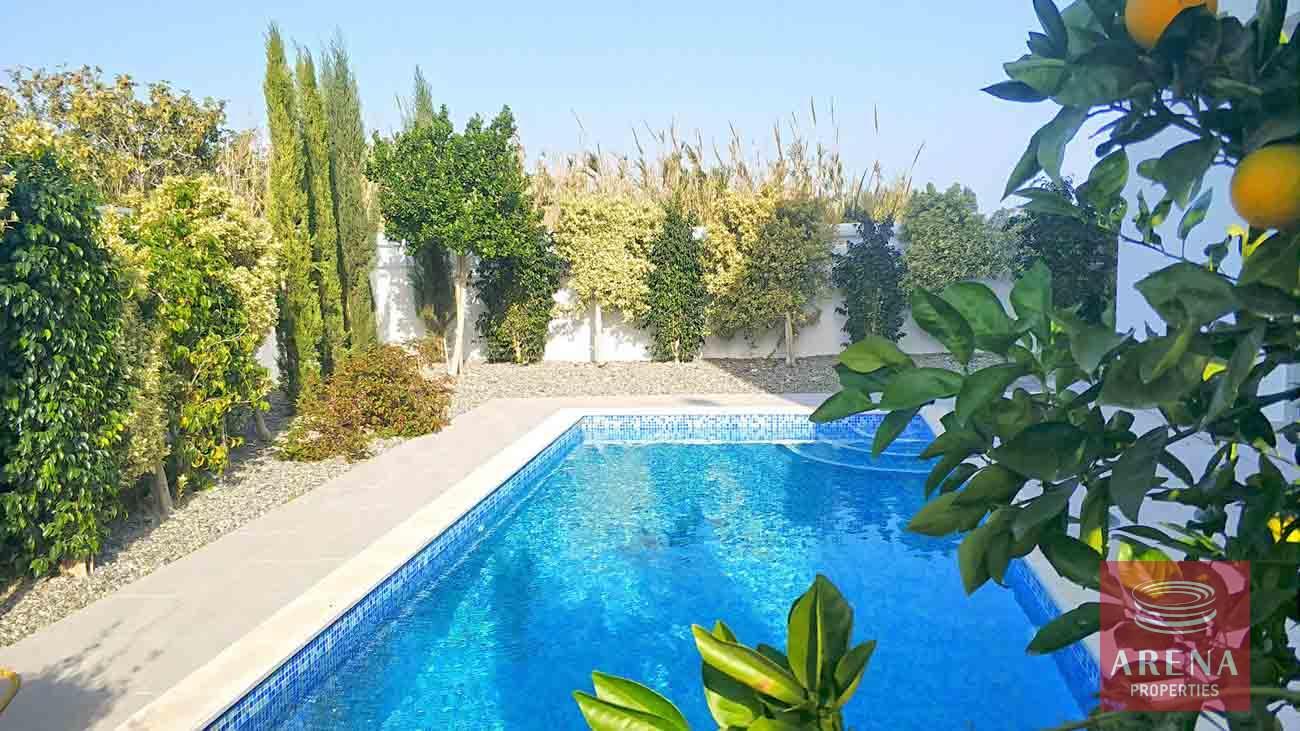 1-3-bed-luxury-villa-for-rent-5924-1