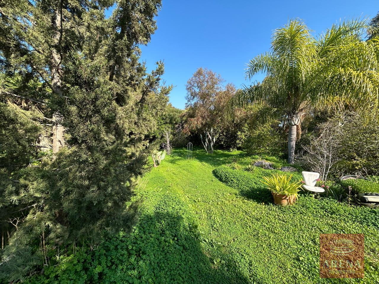 1-4-BED-VILLA-9368-16