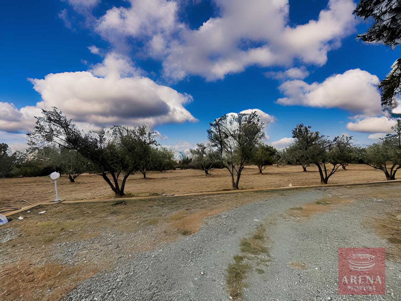 1-4-BED-VILLA-FOR-SALE-IN-AGIA-THEKLA-9489-37