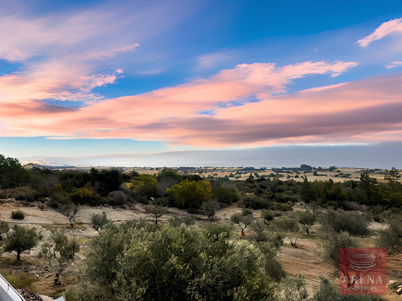 1-4-BED-VILLA-FOR-SALE-IN-AGIA-THEKLA-9489-4-1