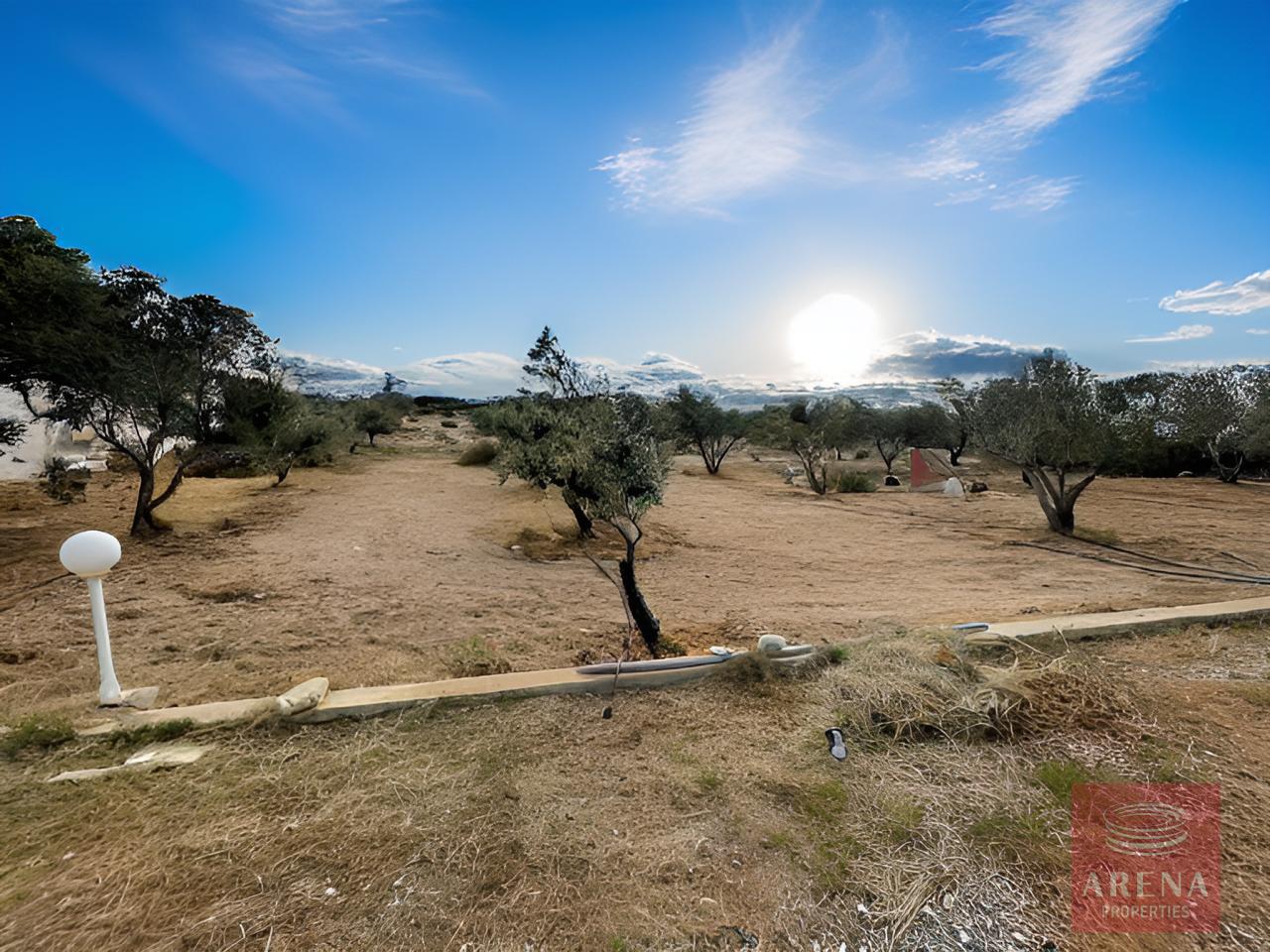 1-4-BED-VILLA-FOR-SALE-IN-AGIA-THEKLA-9489-40