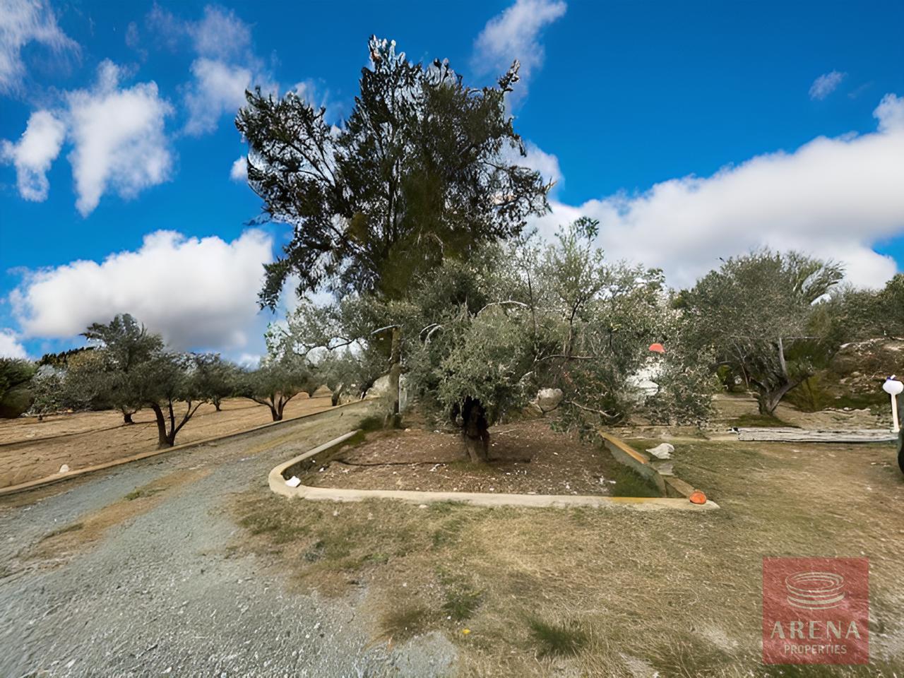 1-4-BED-VILLA-FOR-SALE-IN-AGIA-THEKLA-9489-41-1