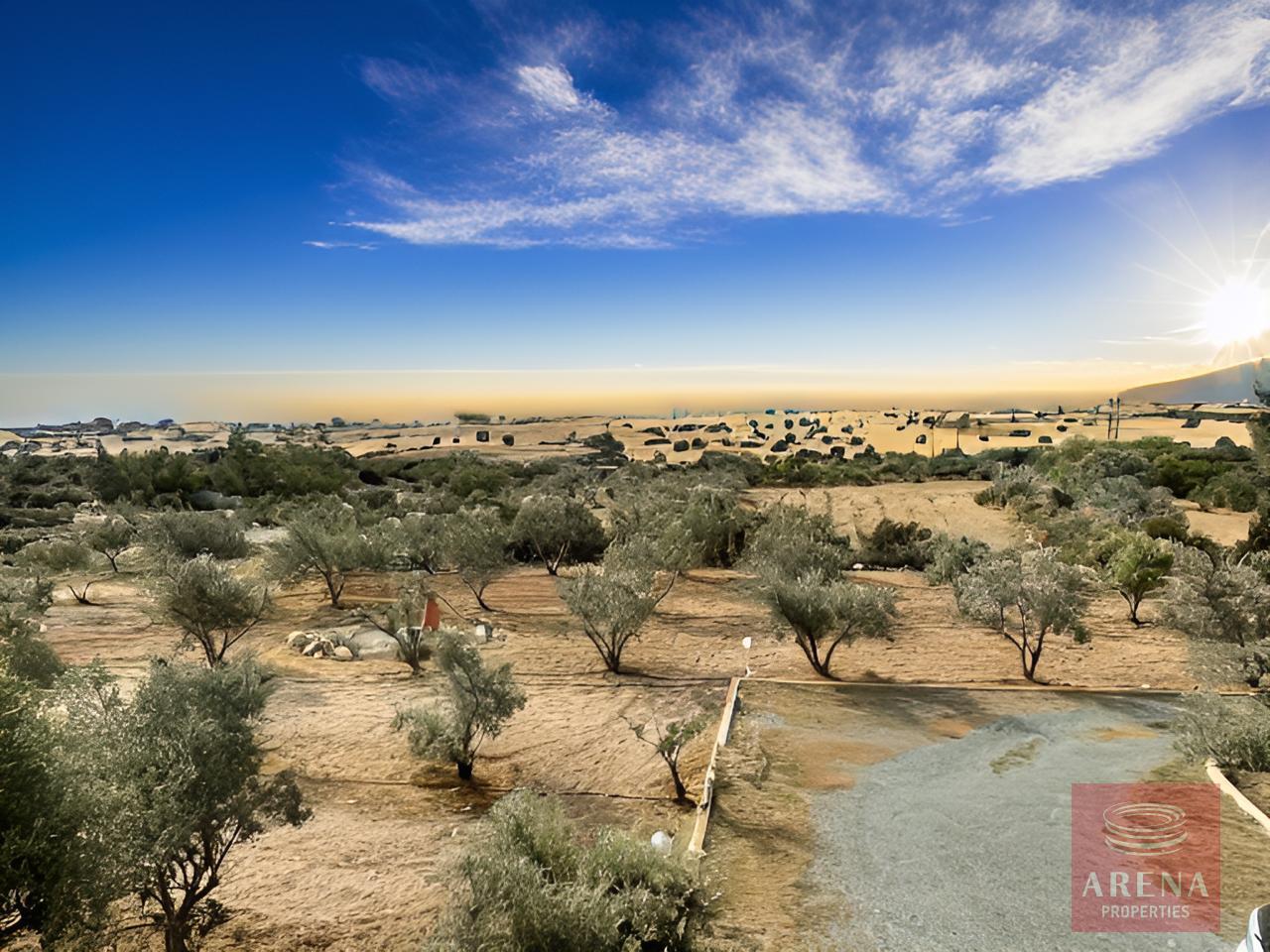 1-4-BED-VILLA-FOR-SALE-IN-AGIA-THEKLA-9489-6