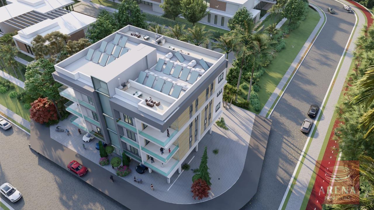 1-APT-IN-PARALIMNI-10113-3-11