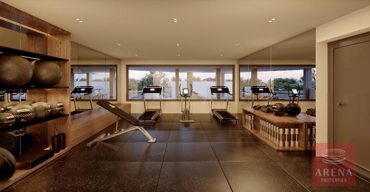 1-APTS-IN-PERVOLIA-9863-13-11