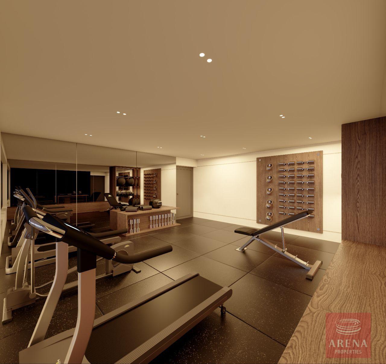 1-APTS-IN-PERVOLIA-9863-15-3