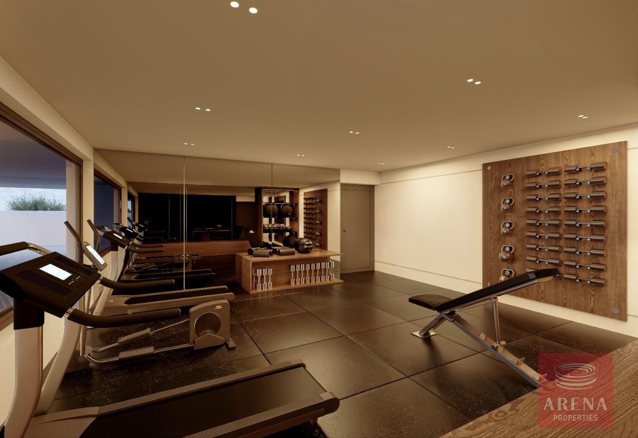 1-APTS-IN-PERVOLIA-9863-16-1