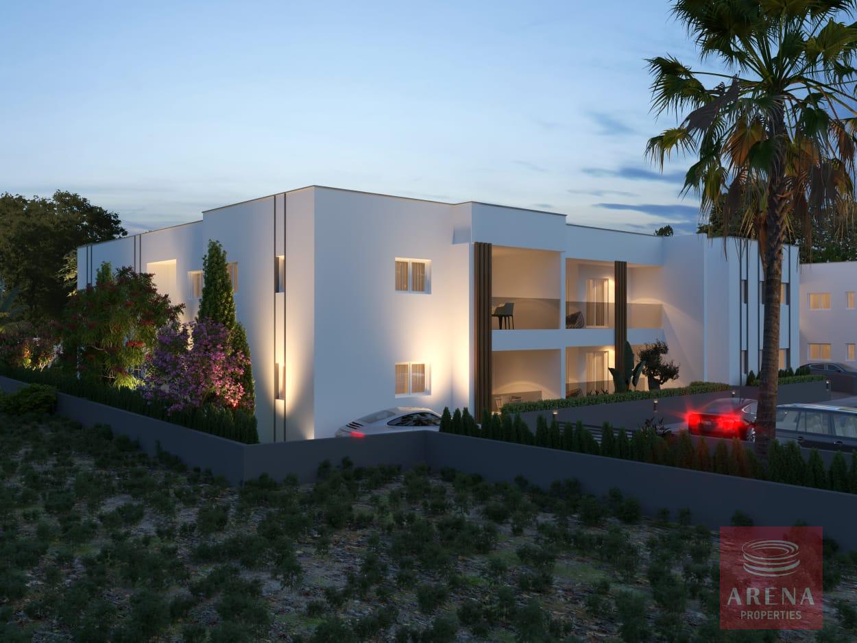 1-APTS-IN-XYLOFAGOU-9592-12-1