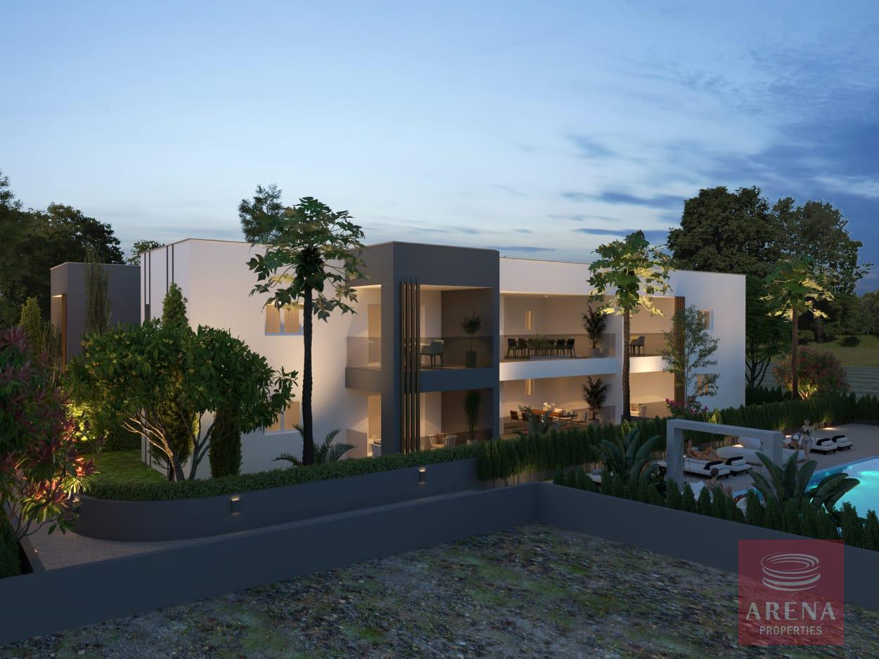 1-APTS-IN-XYLOFAGOU-9592-6-1