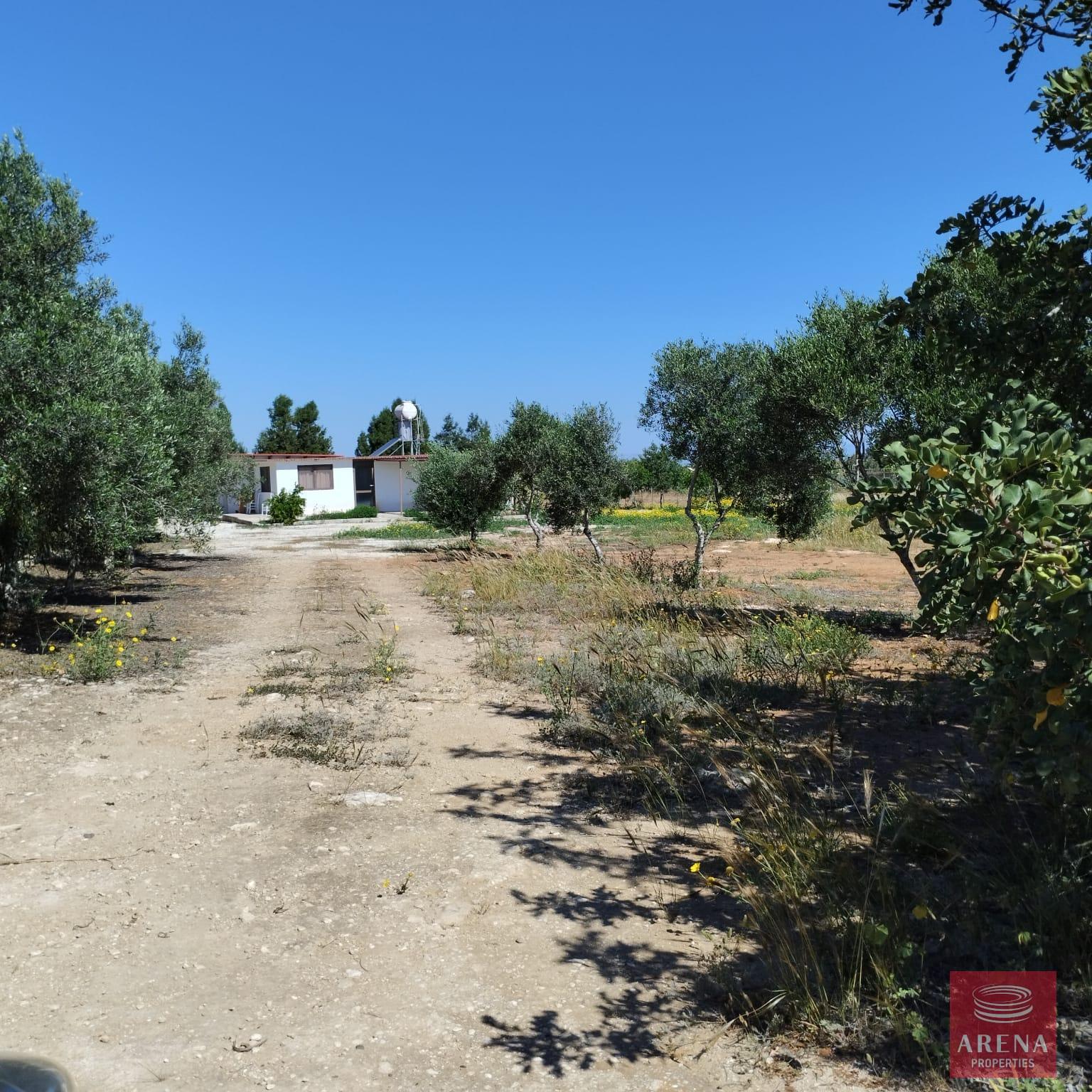 1-BUNGALOW-IN-PARALIMNI-9195-1