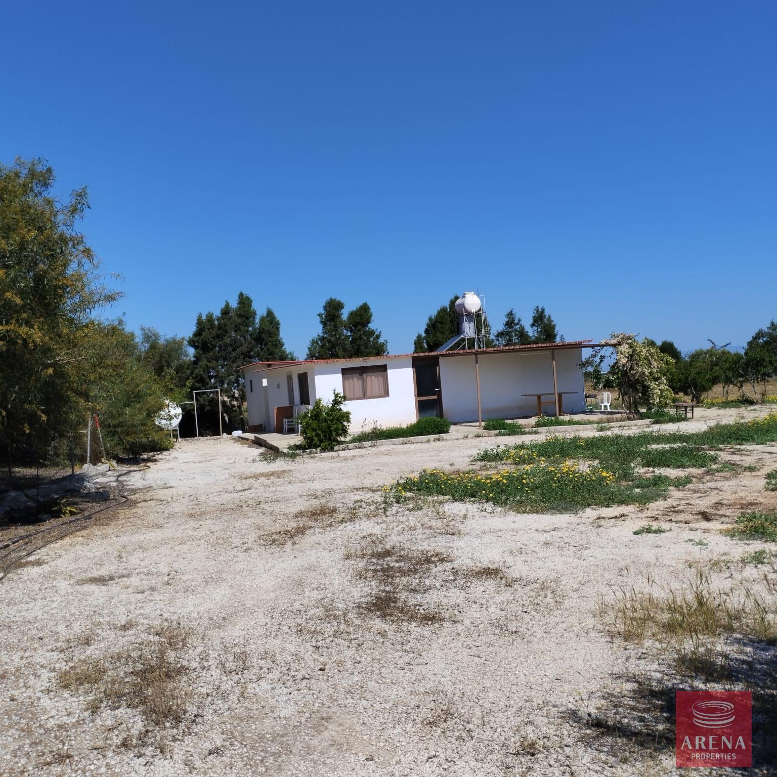 1-BUNGALOW-IN-PARALIMNI-9195-2