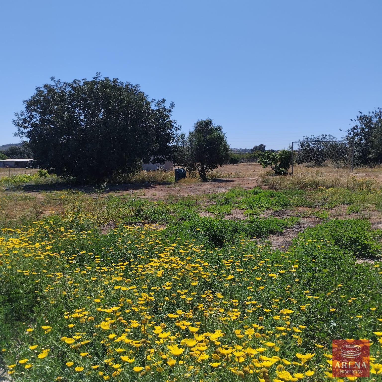 1-BUNGALOW-IN-PARALIMNI-9195-22