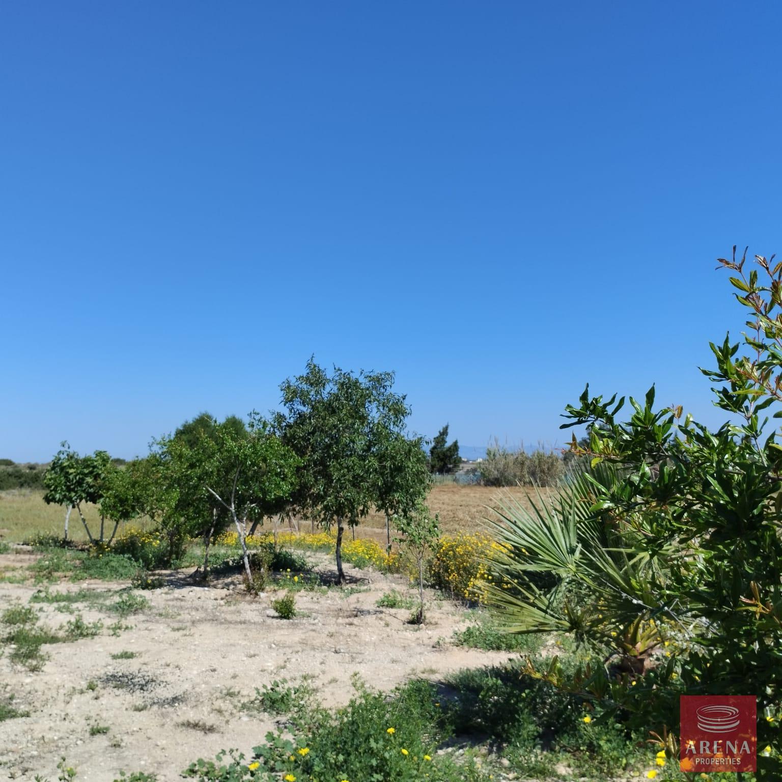 1-BUNGALOW-IN-PARALIMNI-9195-23