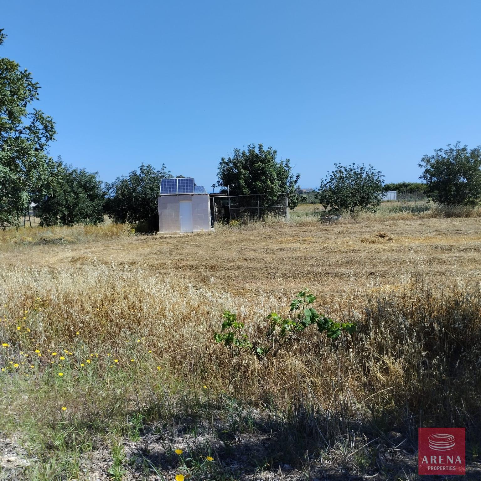 1-BUNGALOW-IN-PARALIMNI-9195-4