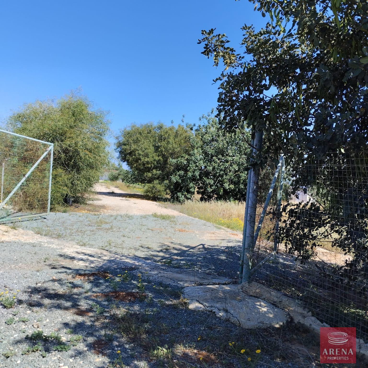 1-BUNGALOW-IN-PARALIMNI-9195-5