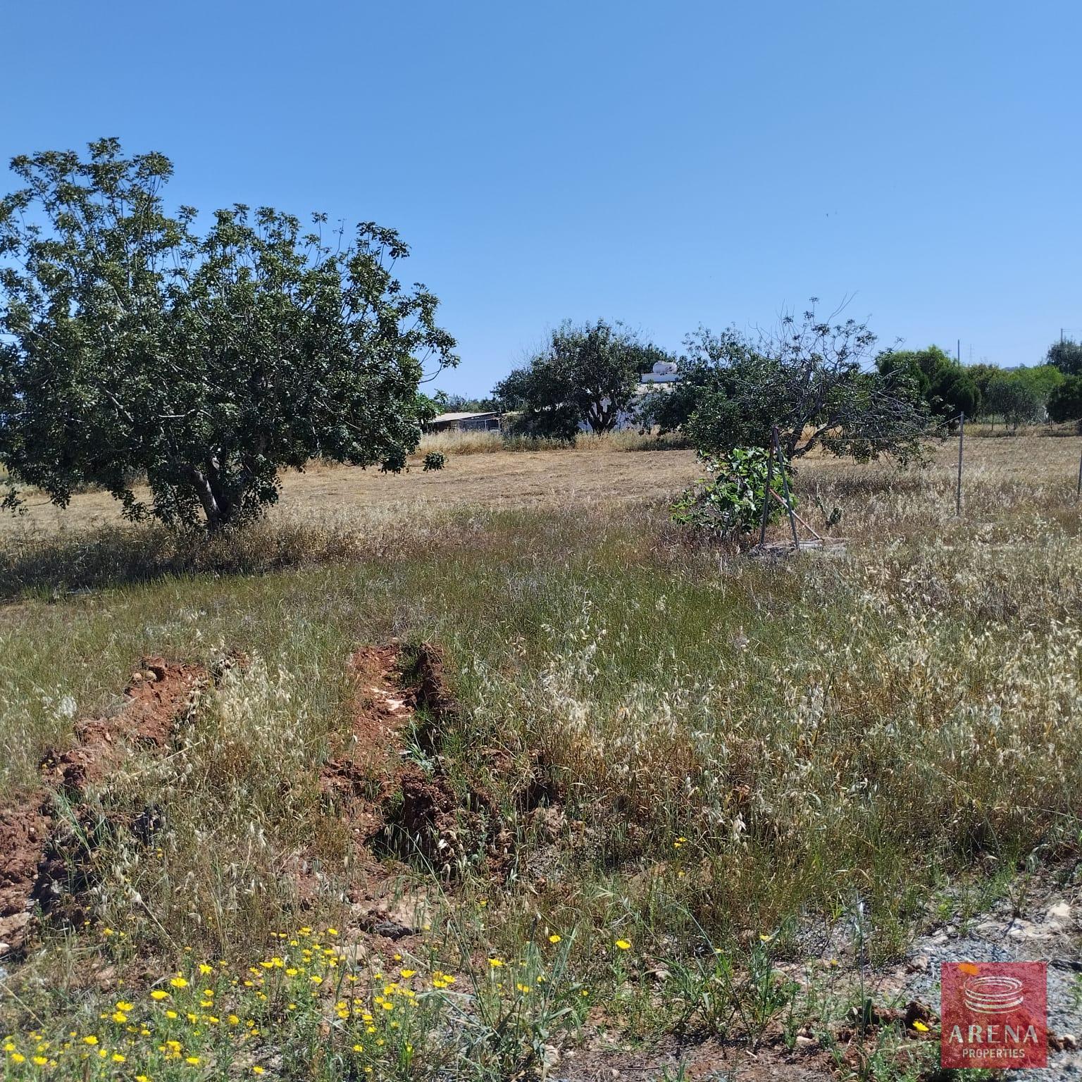 1-BUNGALOW-IN-PARALIMNI-9195-6