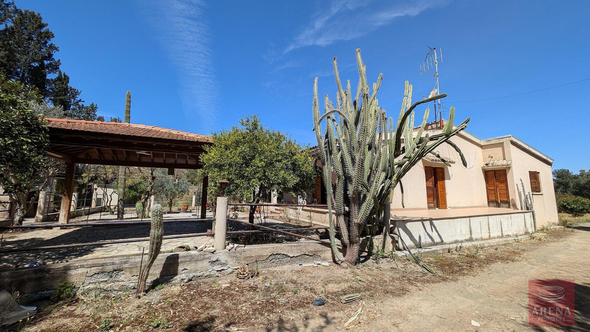 1-BUNGALOW-IN-PSEVDAS-9640-16