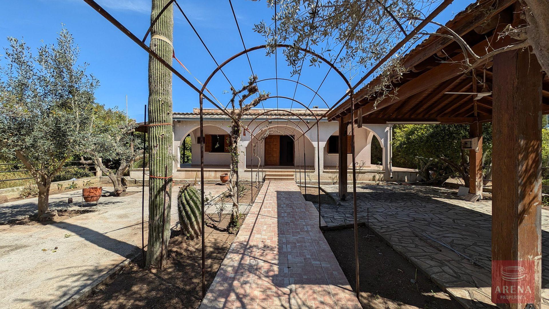 1-BUNGALOW-IN-PSEVDAS-9640-22