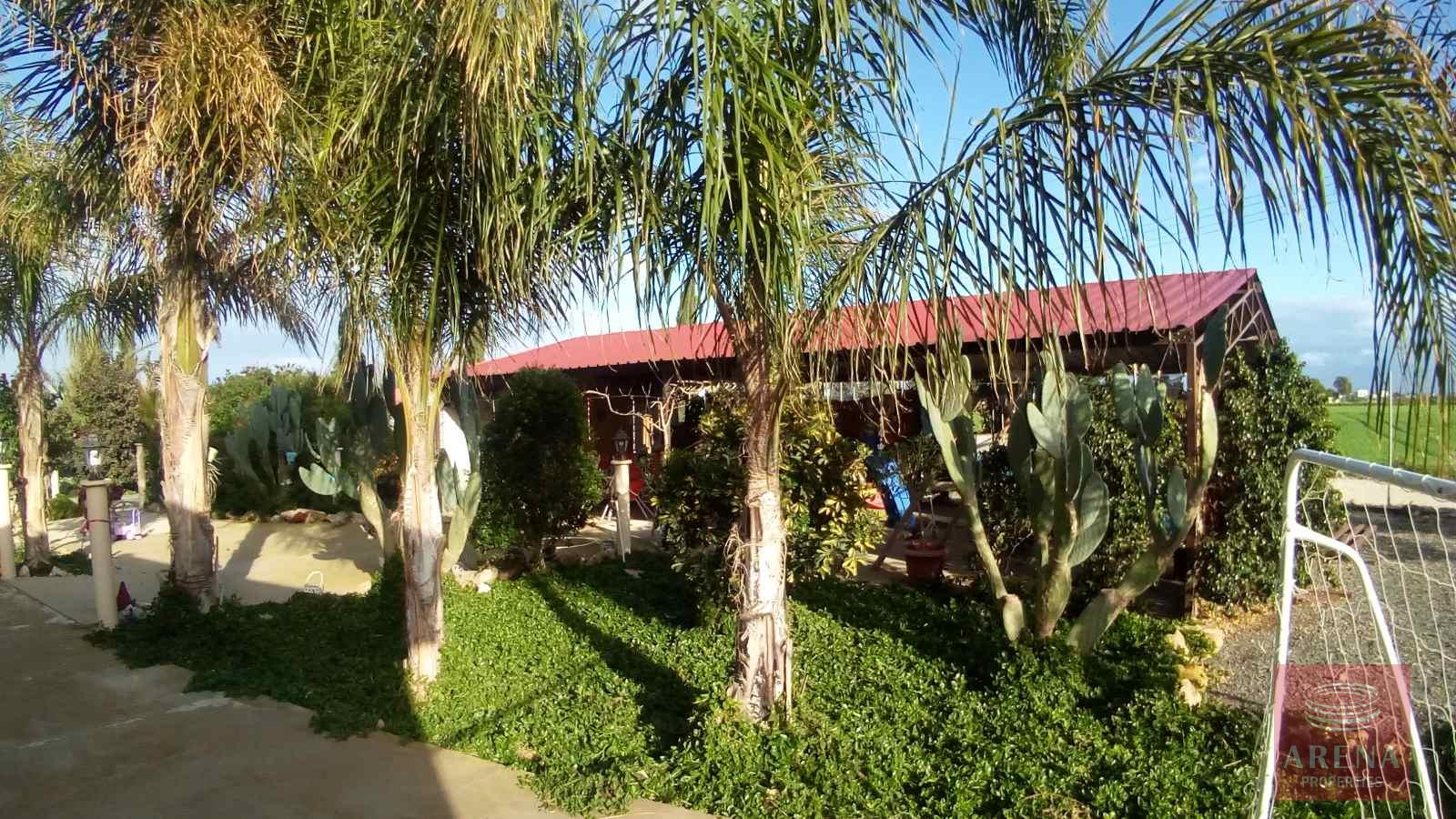 1-BUNGALOW-IN-XYLOFAGOU-9627-5