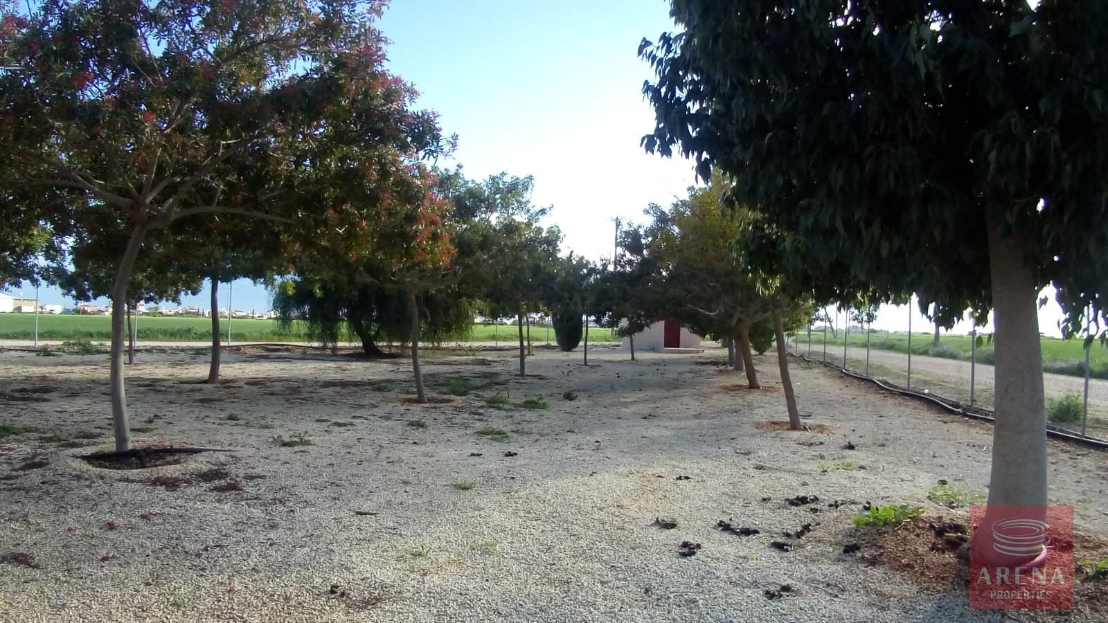 1-BUNGALOW-IN-XYLOFAGOU-9627-9