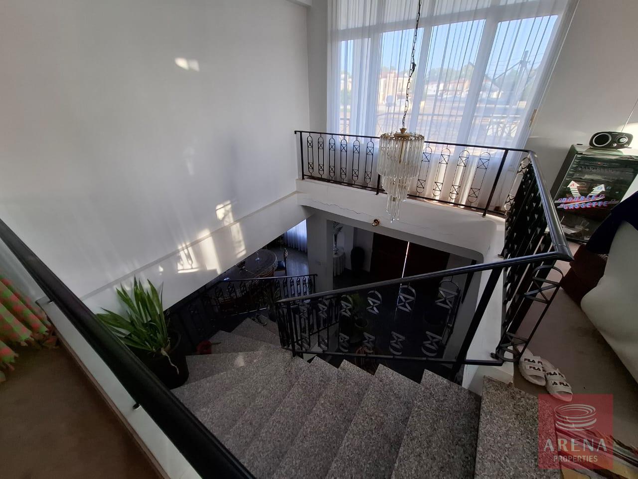 1-HOUSE-KITI-10298-35-3