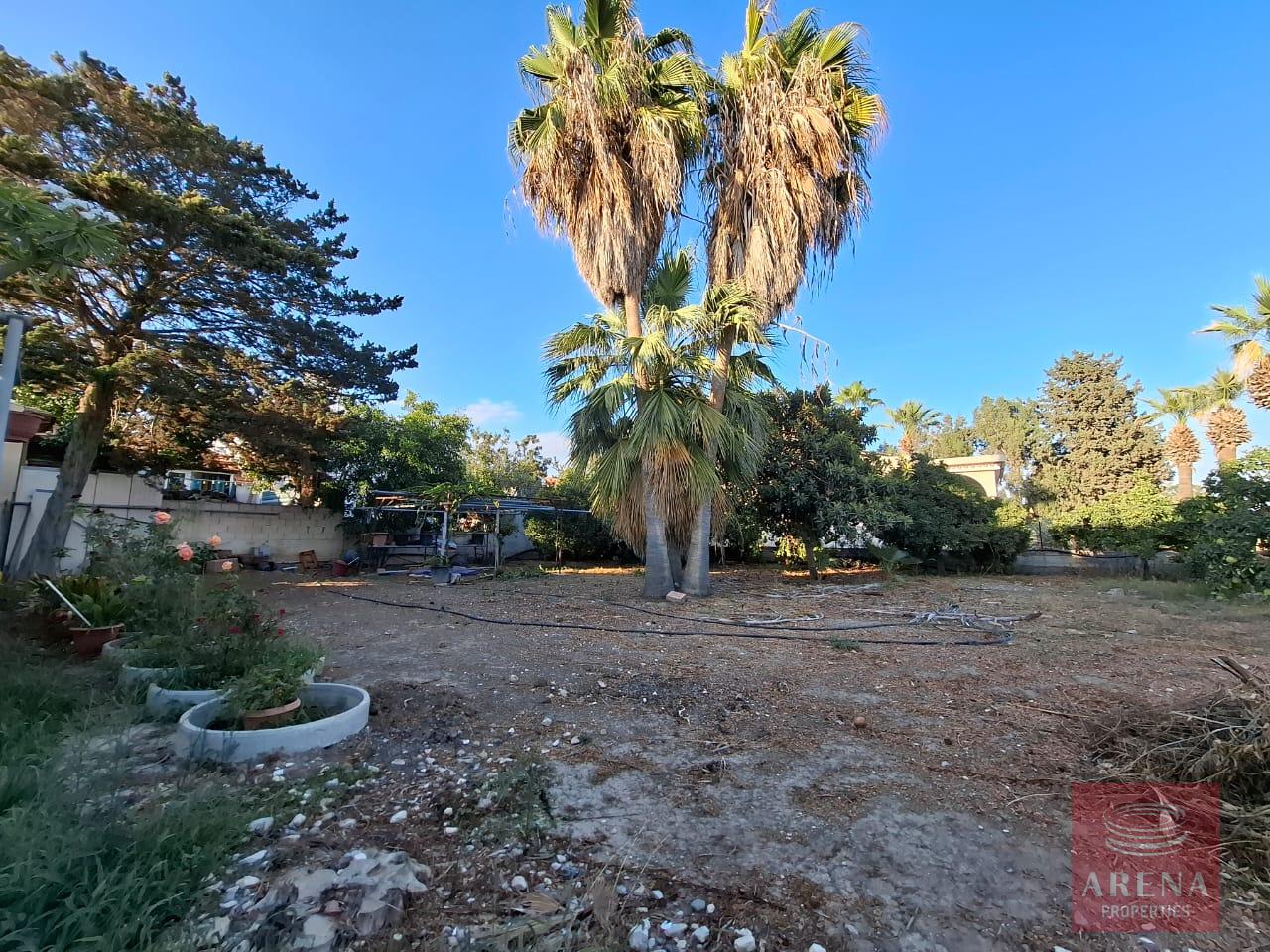 1-HOUSE-KITI-10298-7-3