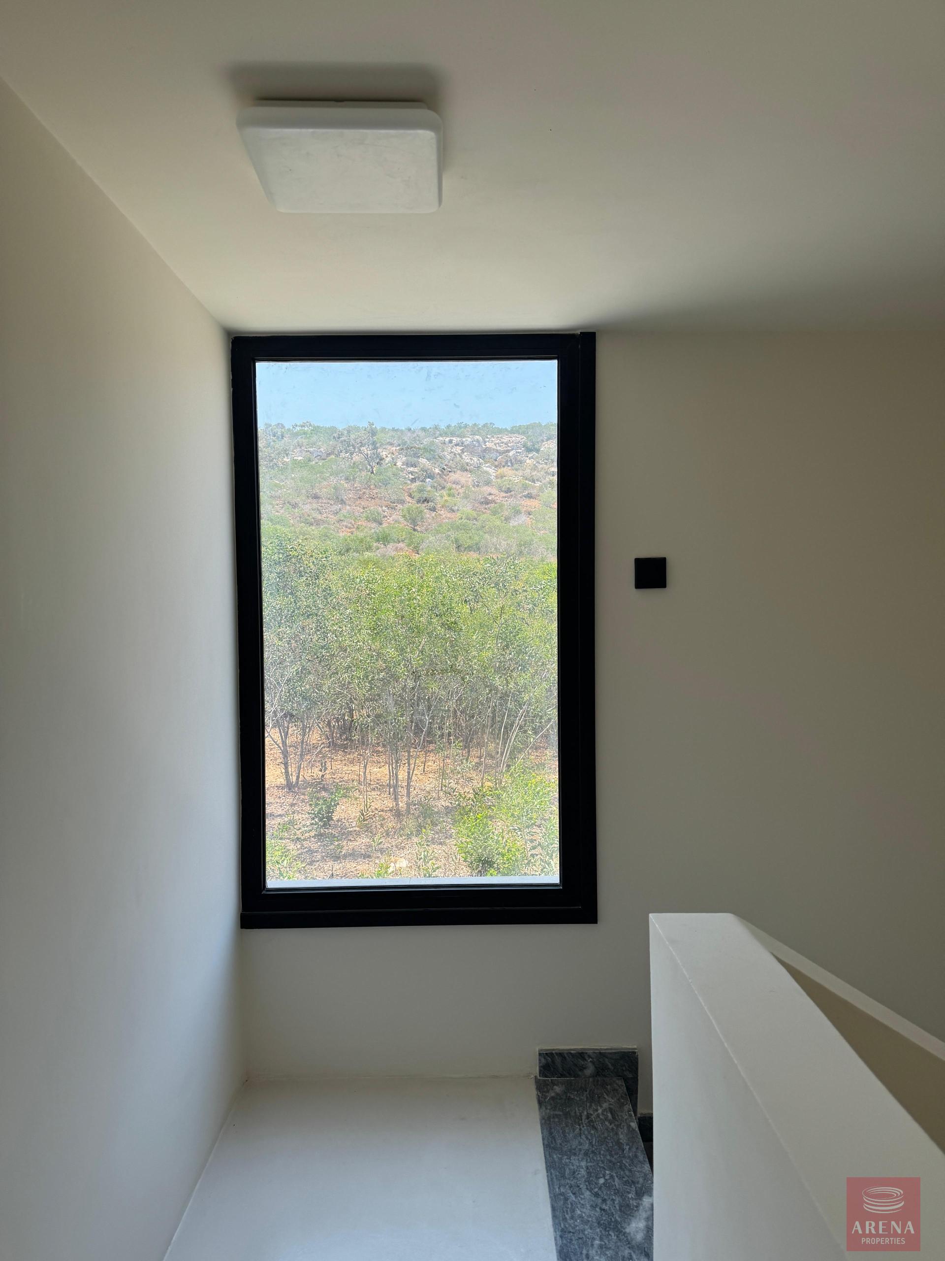 1-ID-9729-11-scaled-1