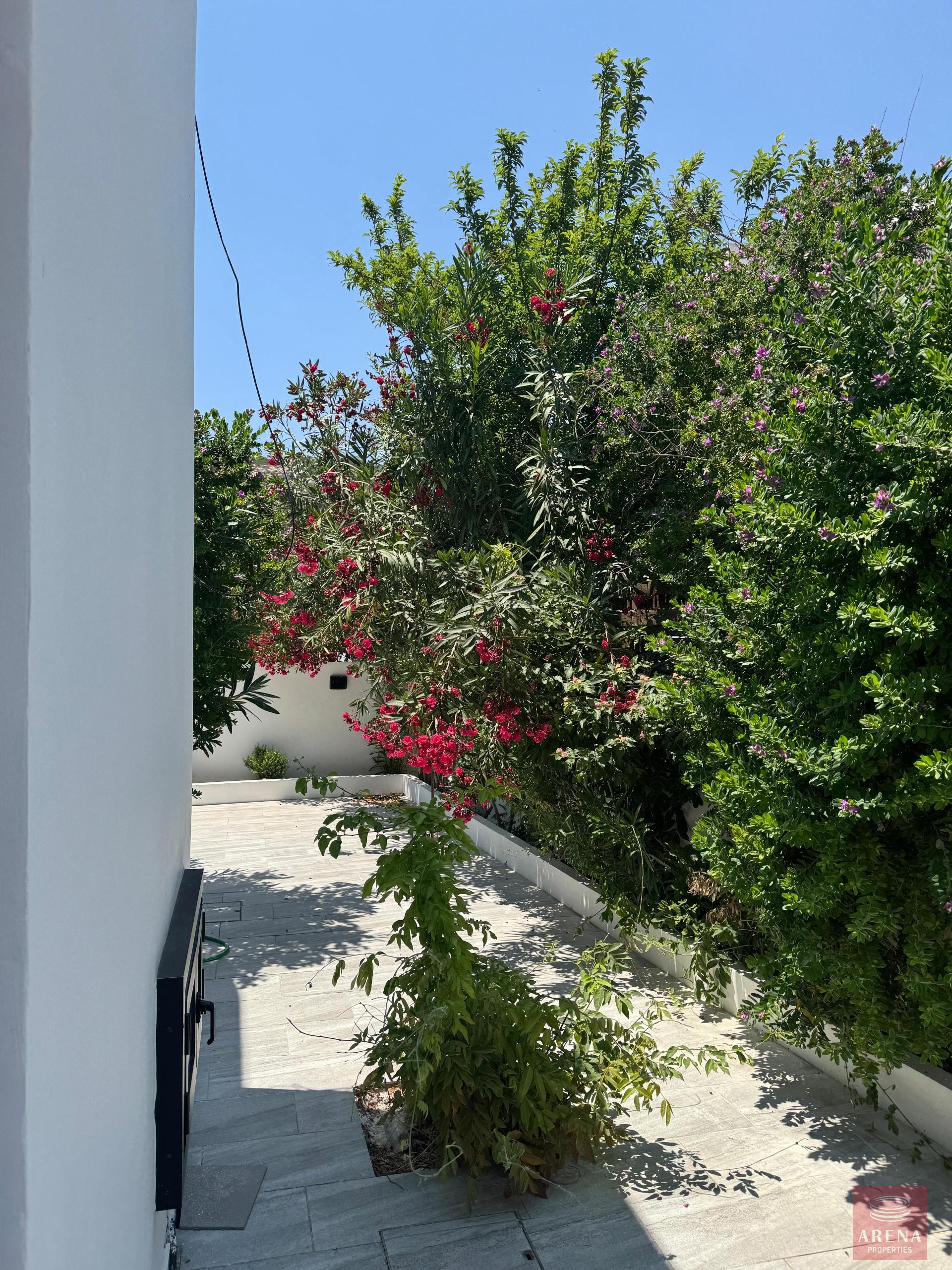 1-ID-9729-2-scaled-1