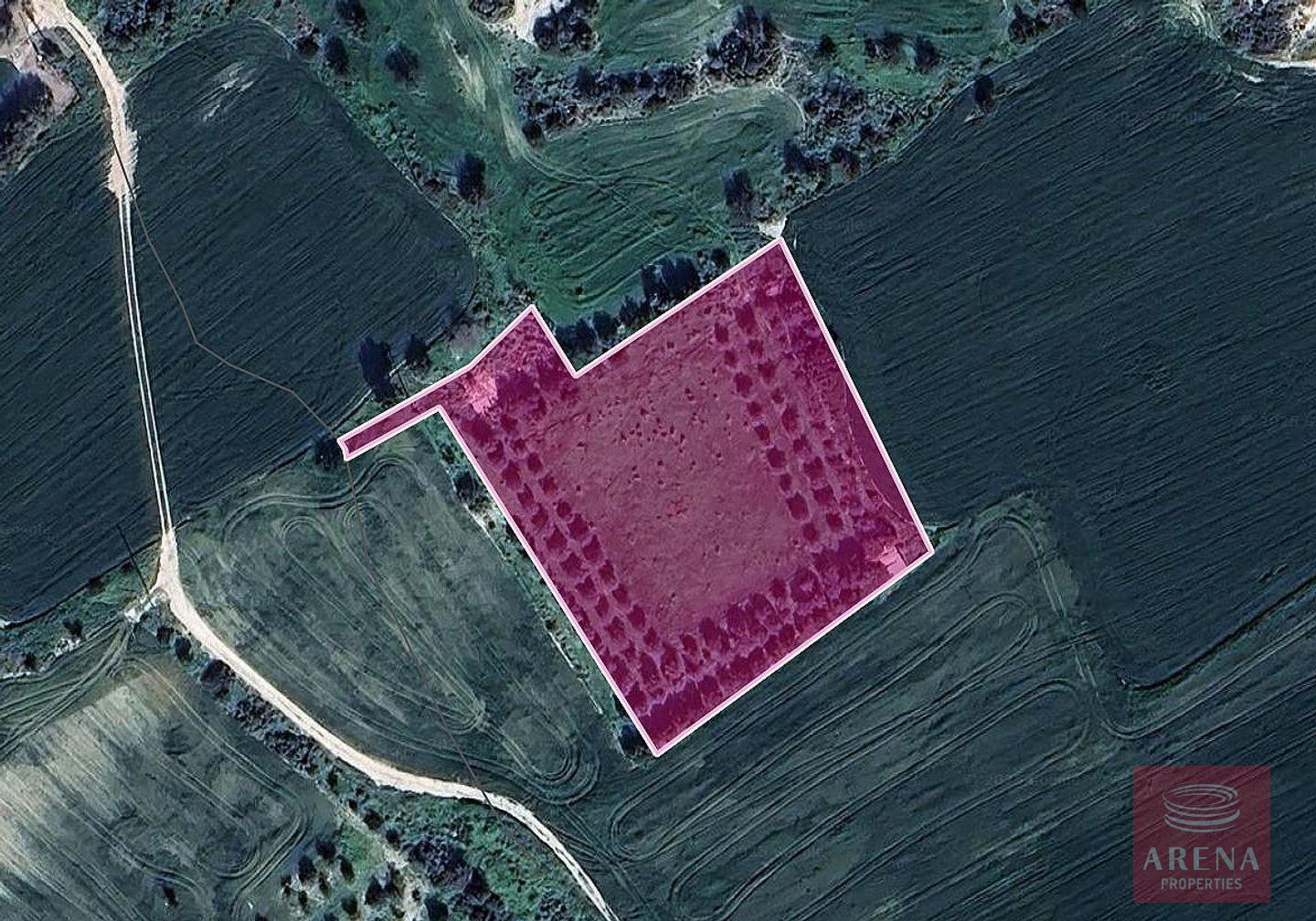 1-LAND-IN-TOCHNI-9535-1