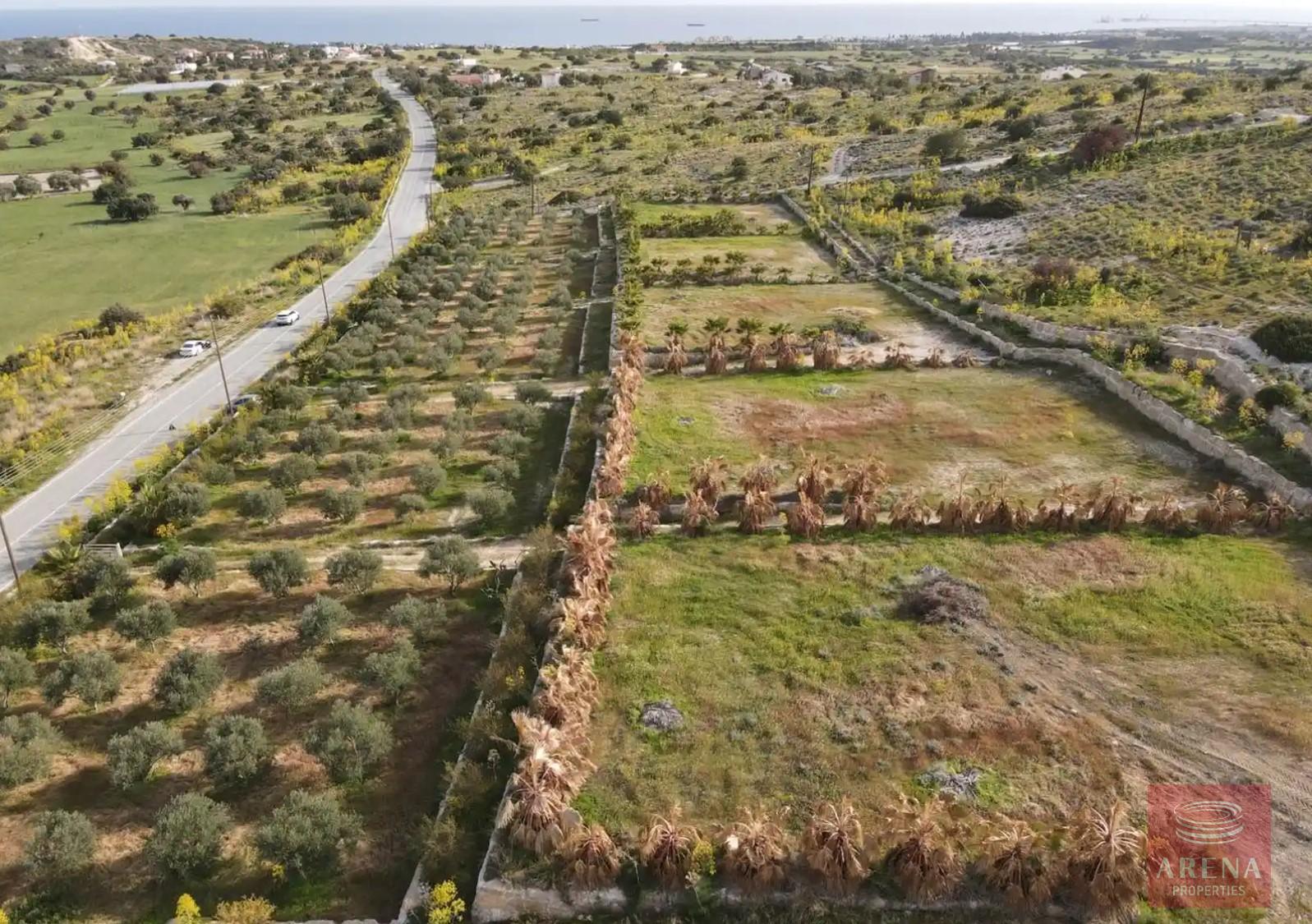 1-LAND-MARONI-10392-3-3