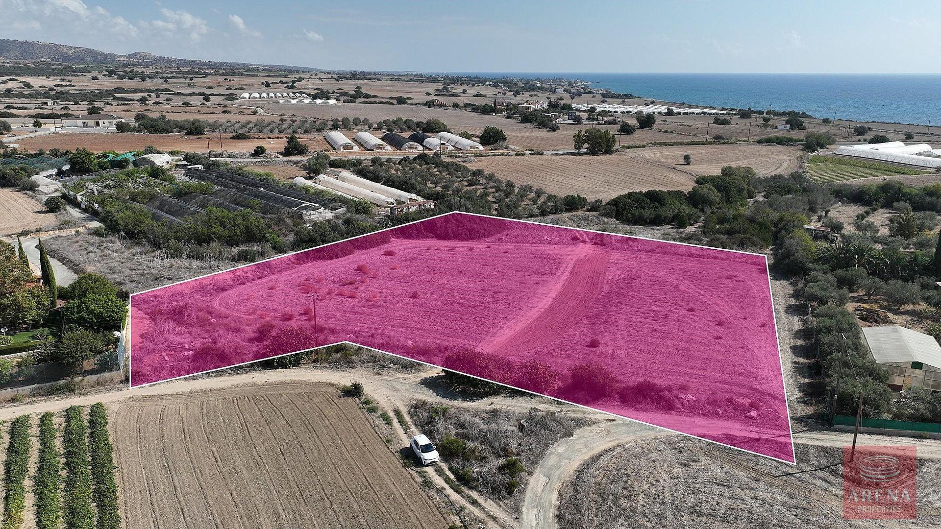 1-LAND-MARONI-9690-2