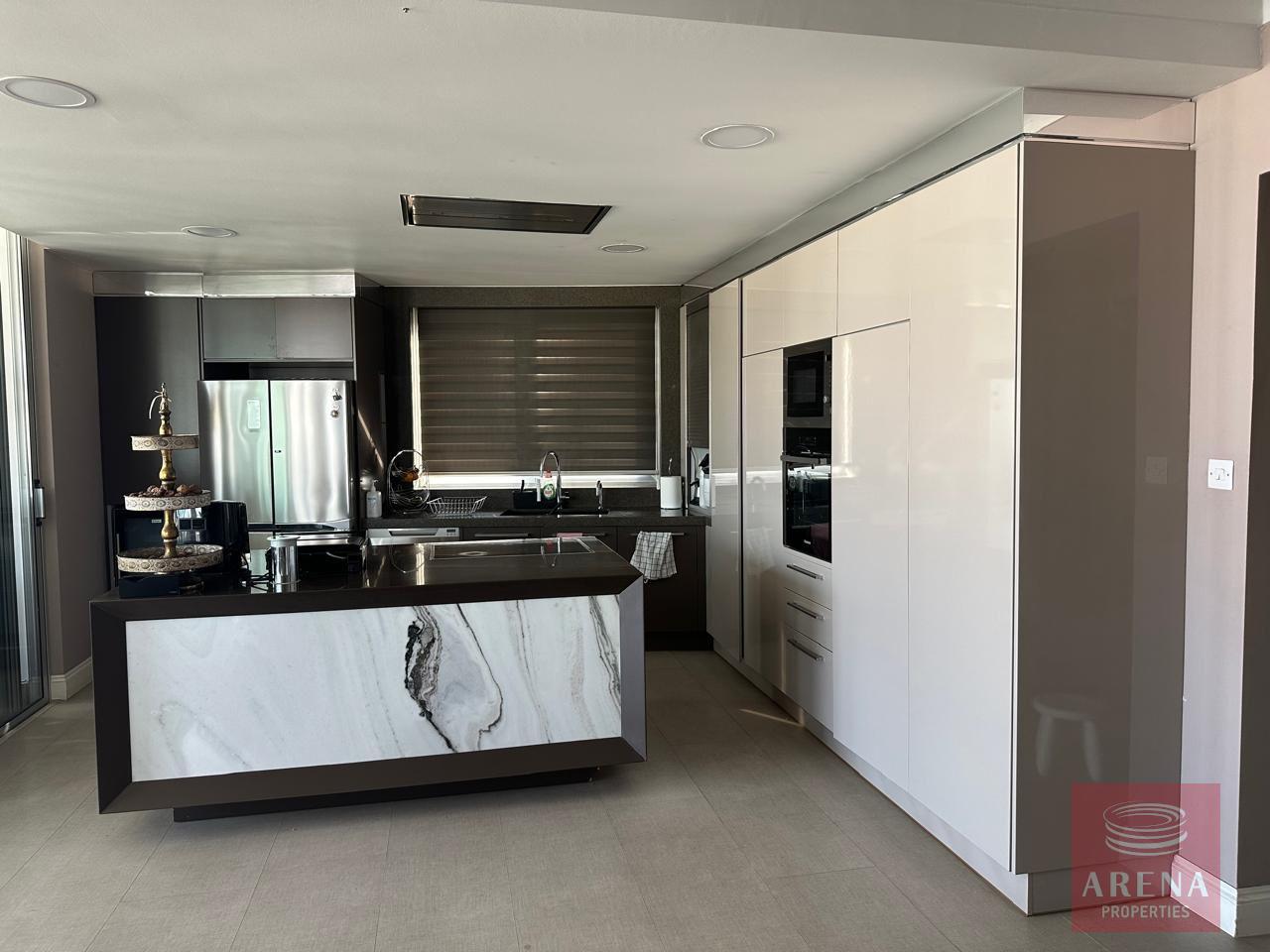 1-PENTHOUSE-ARADIPPOU-10484-25