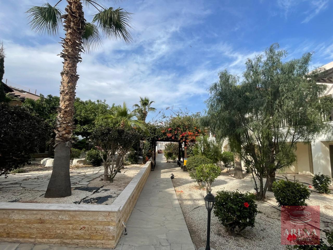 1-STUDIO-IN-TERSEFANOU-9456-13