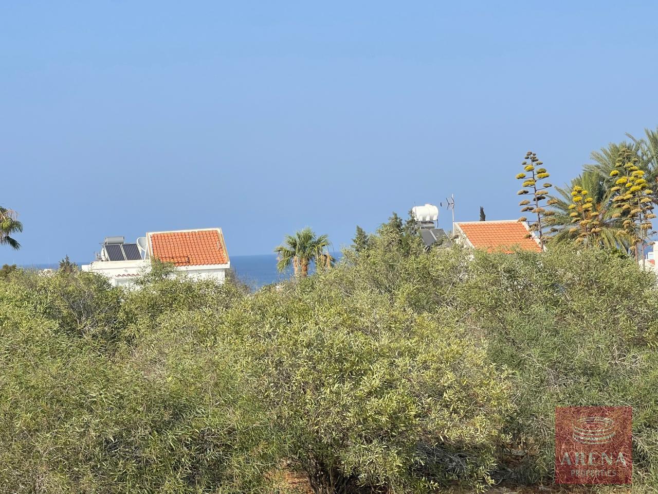 1-VILLA-IN-PERNERA-9887-11-1