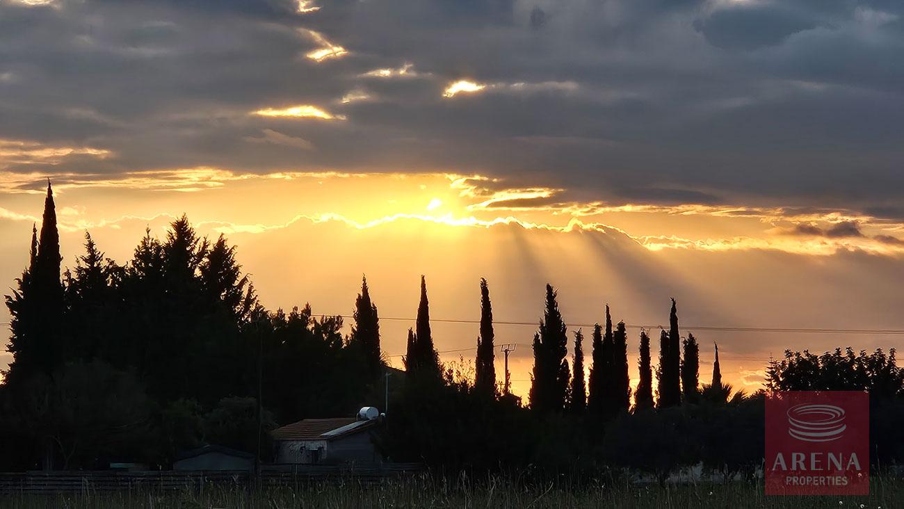 1-VILLA-N-KITI-10443-3-2