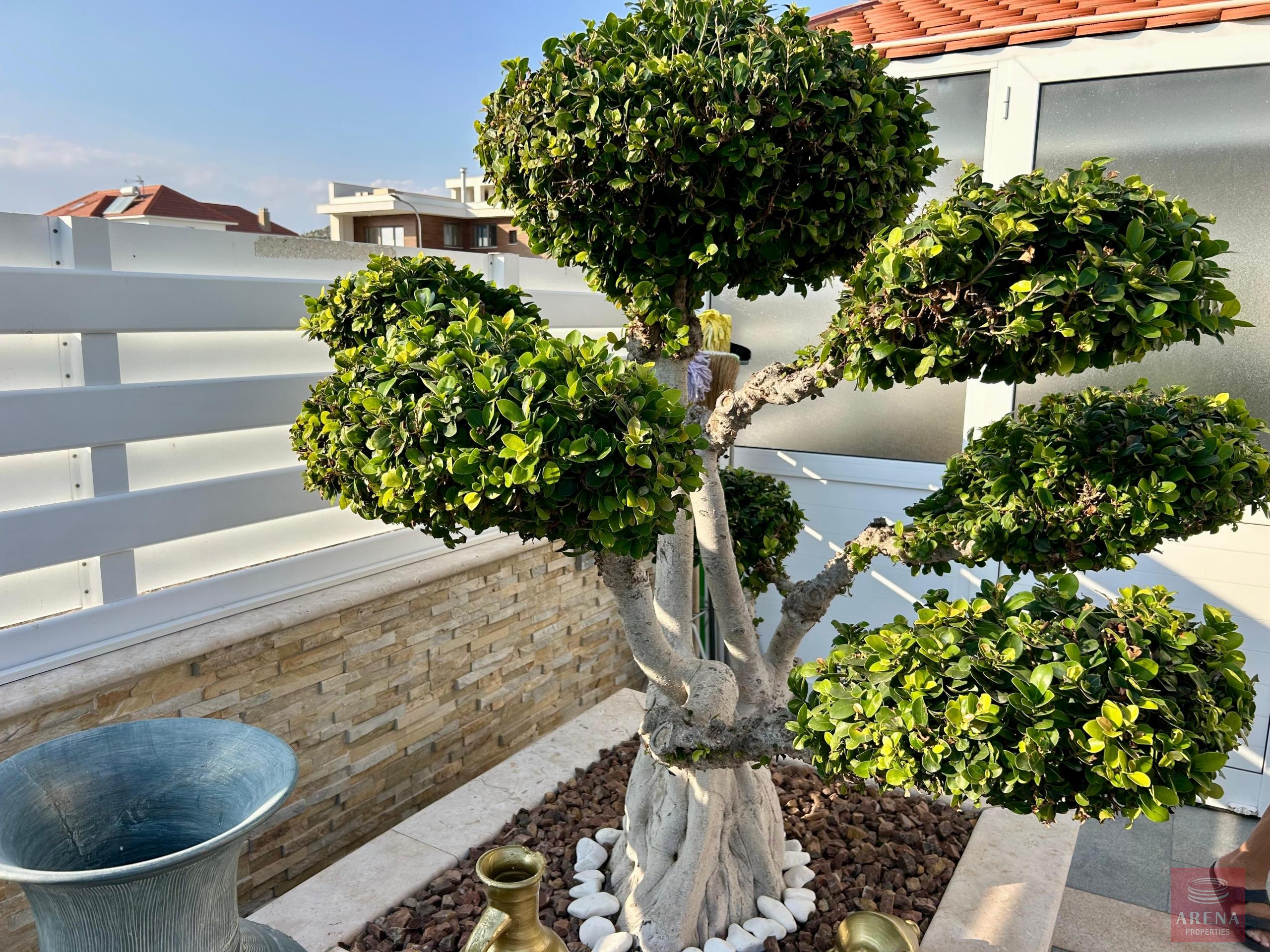 1-VILLA-SALE-PYLA-10415-32-scaled-8