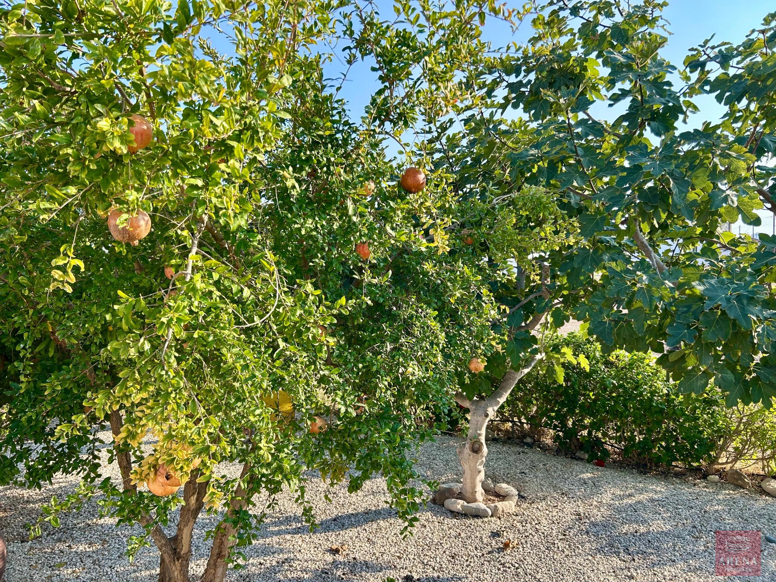 1-VILLA-SALE-PYLA-10415-33-scaled-8