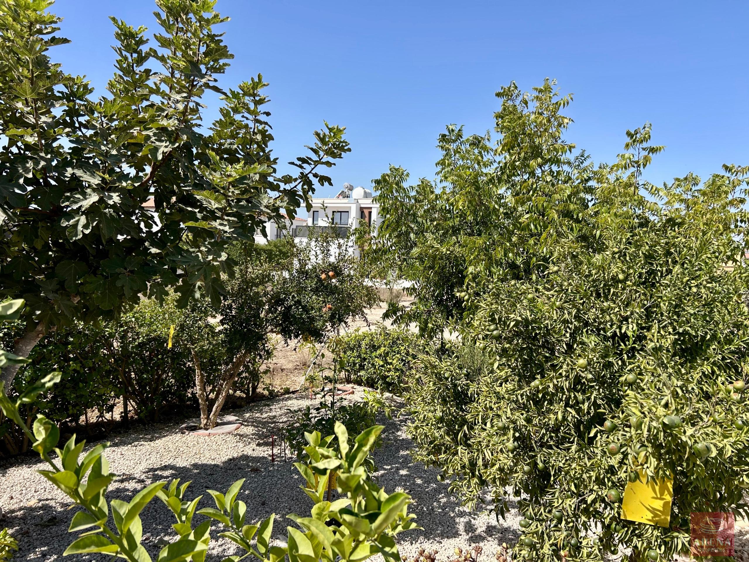 1-VILLA-SALE-PYLA-10415-34-scaled-5