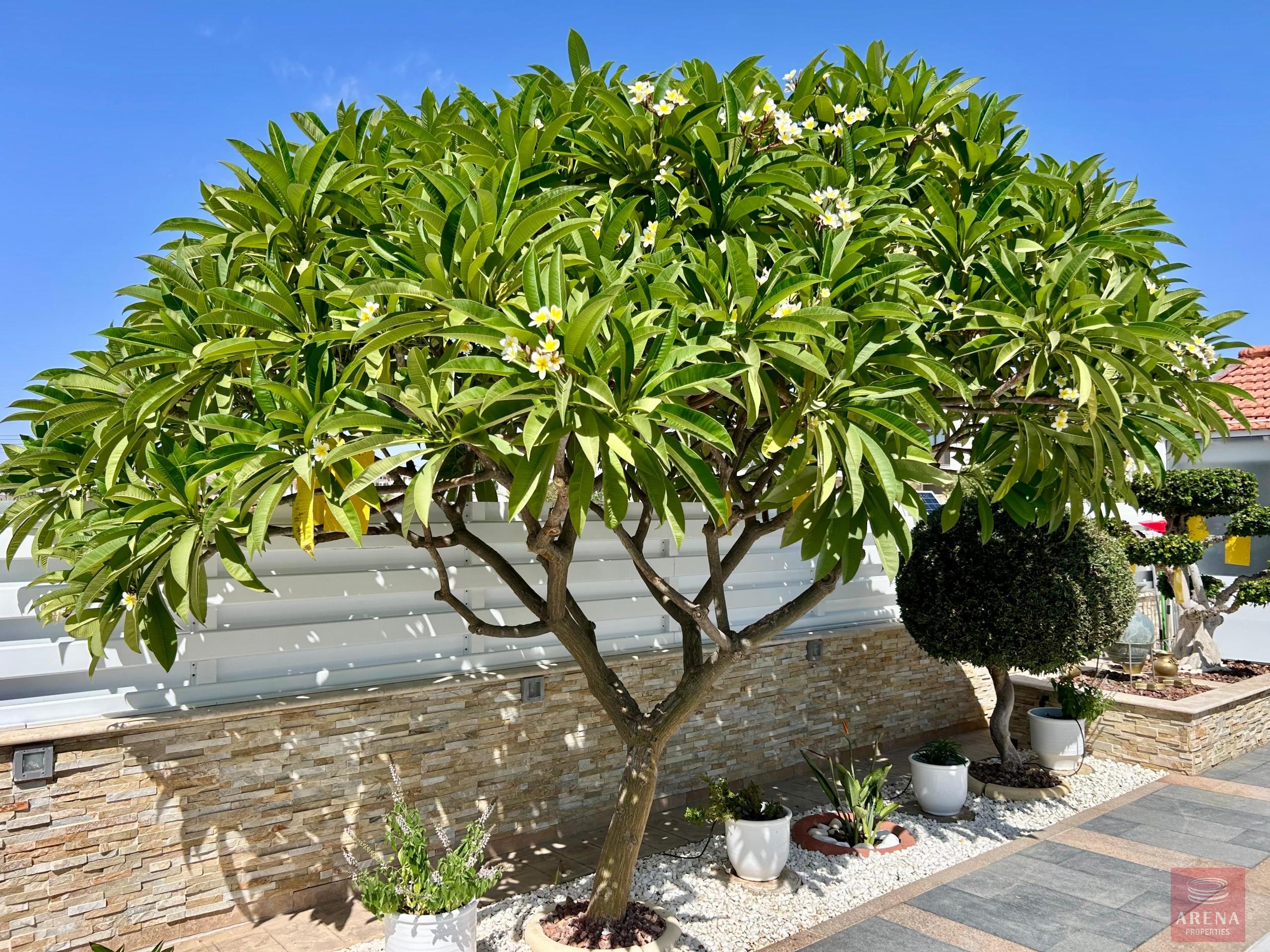 1-VILLA-SALE-PYLA-10415-40-scaled-8