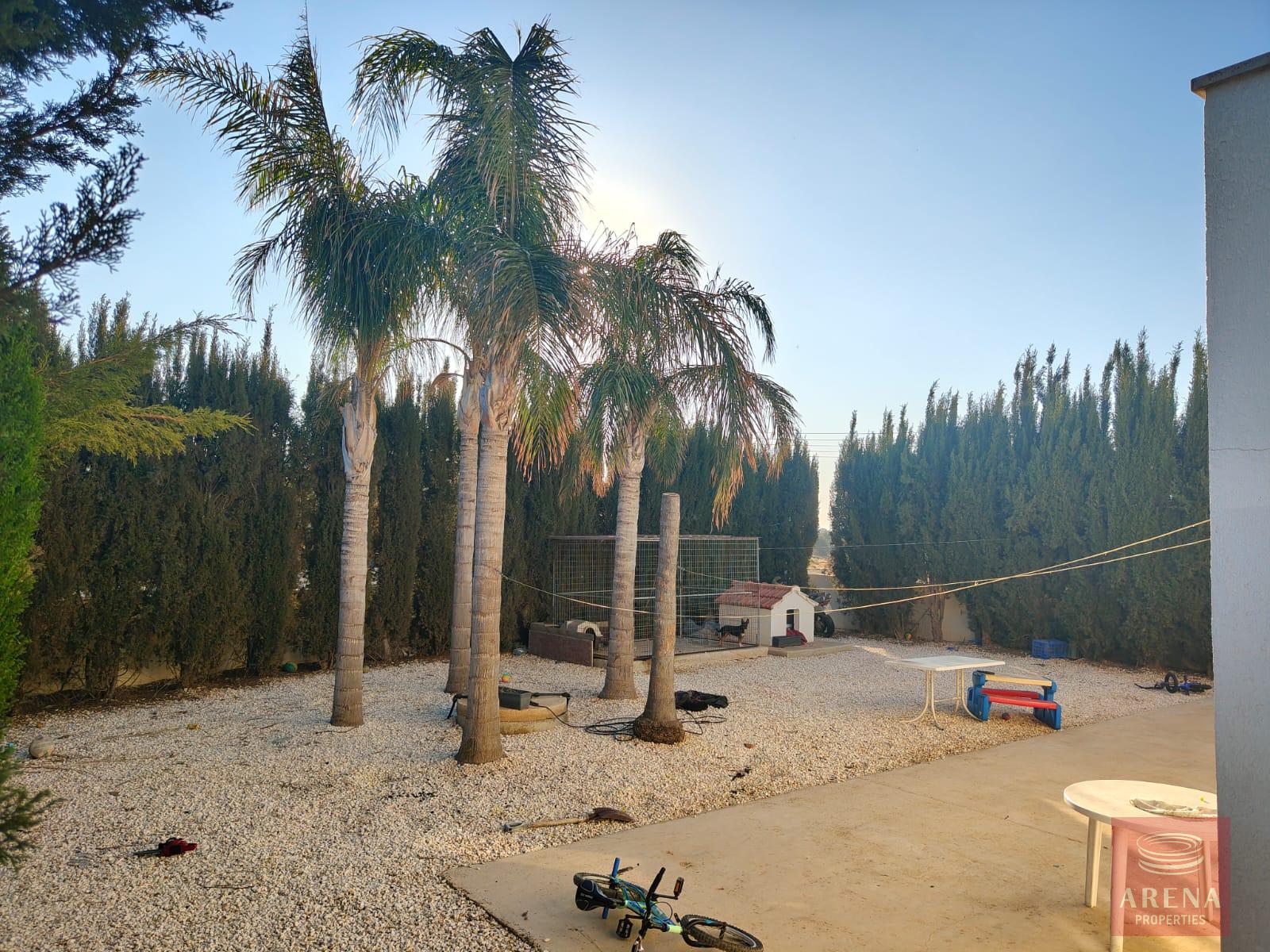 1-VILLA-XYLOFAGOU-10211-33-5