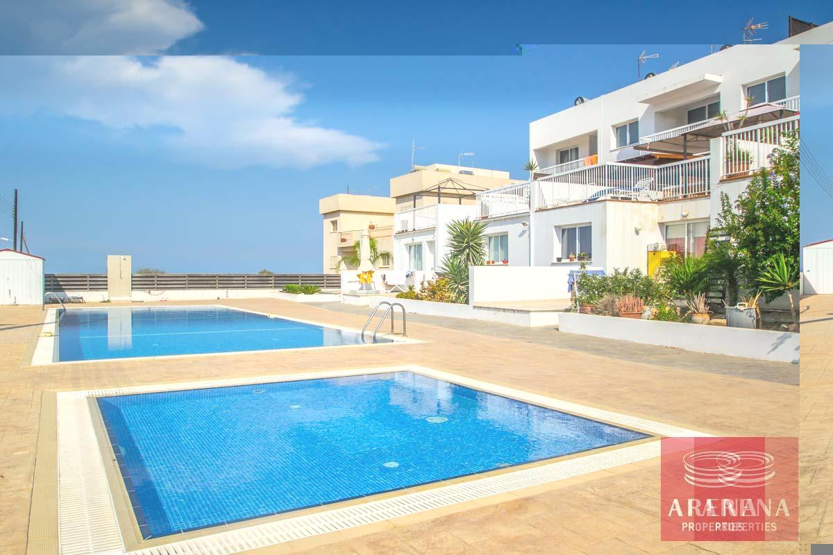 1-apartments-for-sale-in-paralimni-communal-pool-5326