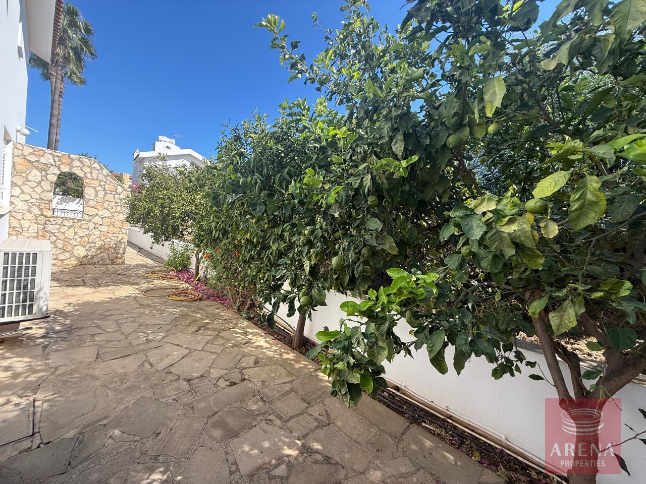 1-villa-in-pernera-10261-6-3