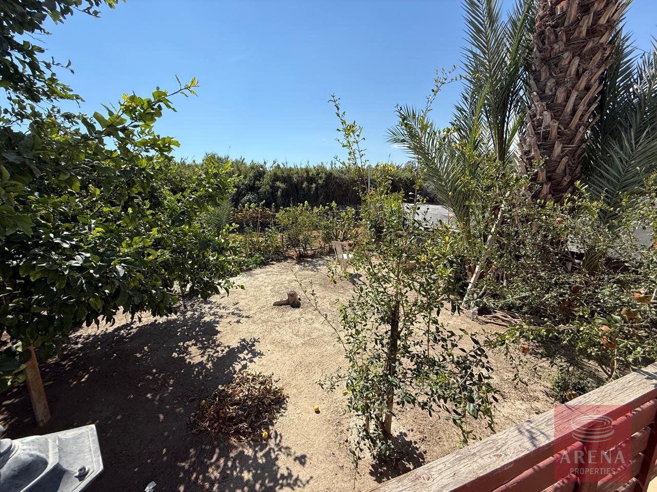 1-villa-livadia-10226-11-5