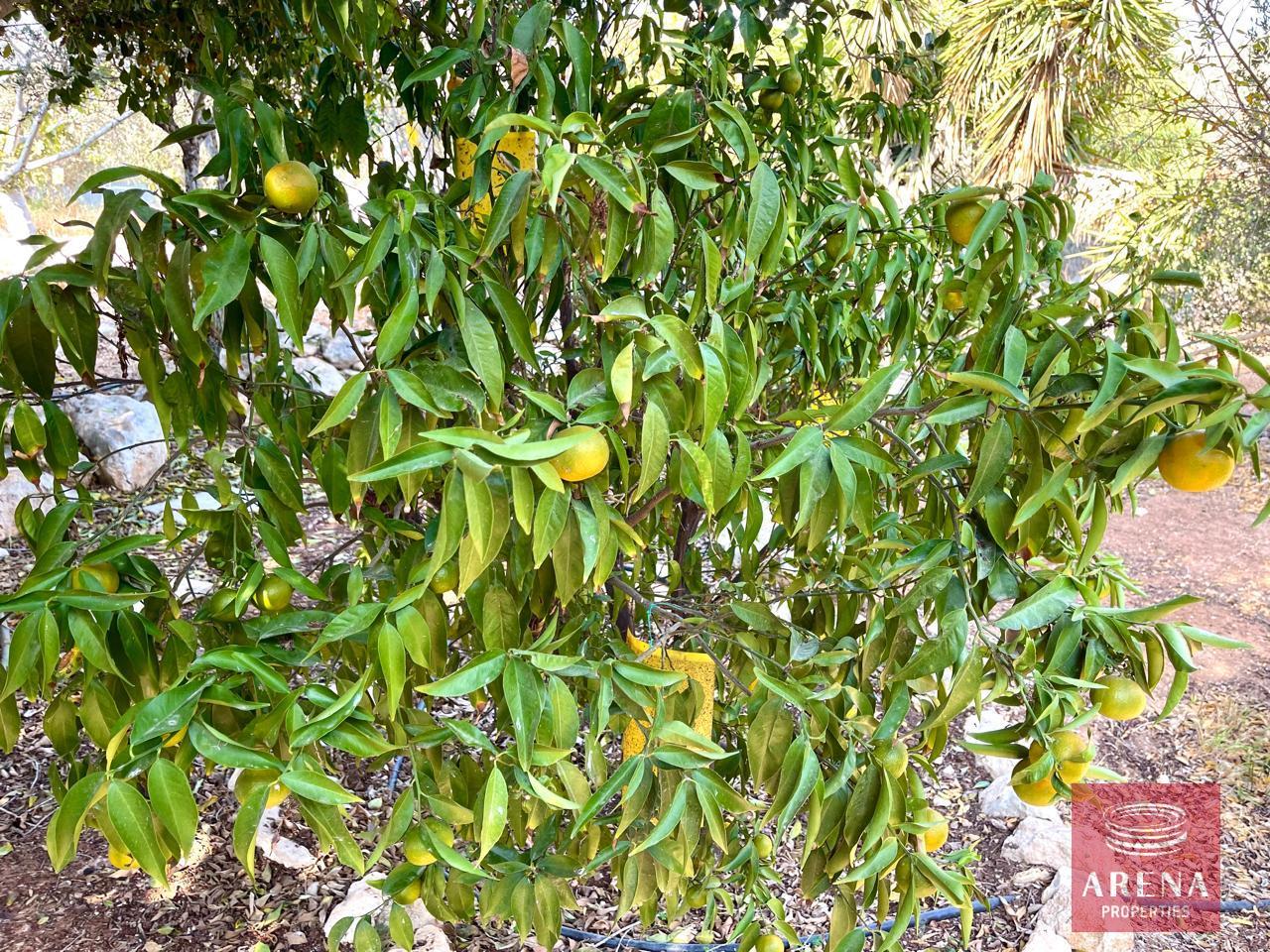 10-2-BED-HOUSE-PARALIMNI-8768