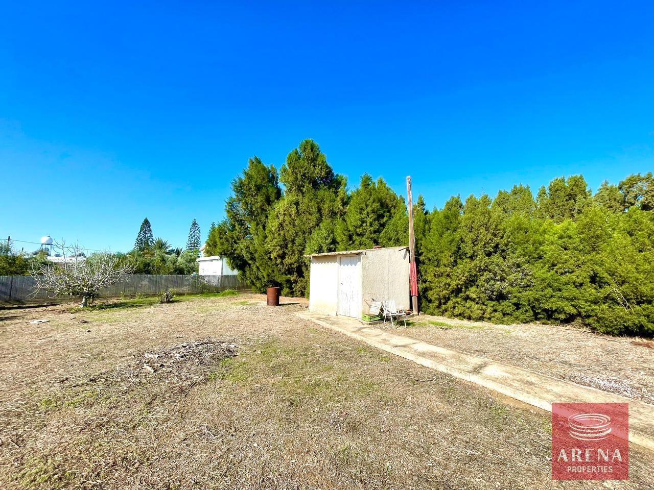 10-2-ED-VILLA-SOFTADES-8889