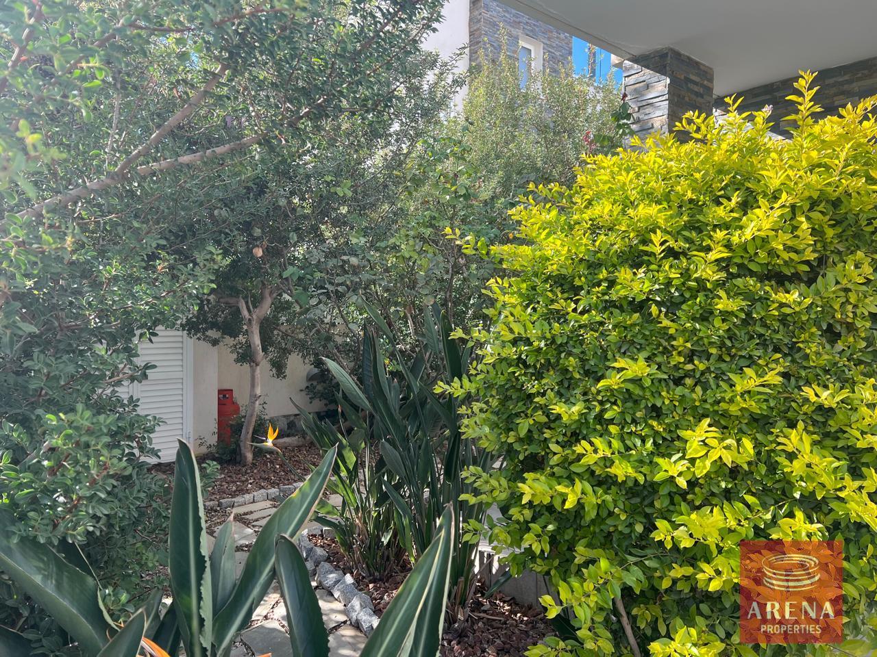 10-3-BED-VILLA-FOR-RENT-IN-PROTARAS-8868