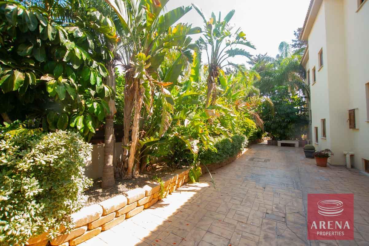 10-5-BED-villa-in-derynia-5777-5