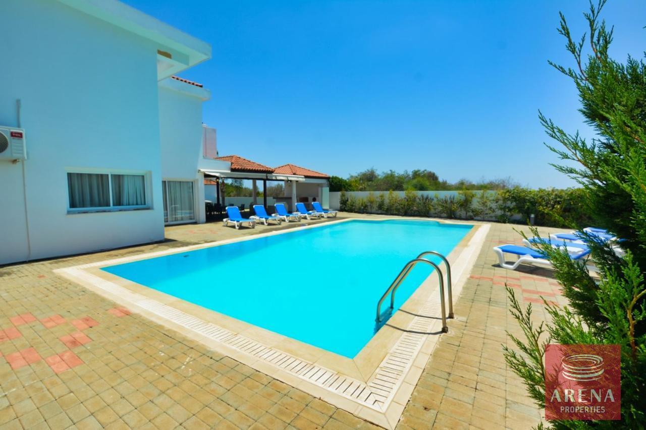 10-7-BED-VILLA-IN-AYIA-NAPA-6706-1