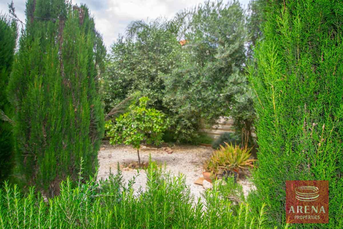 10-VILLA-IN-PERNERA-4561